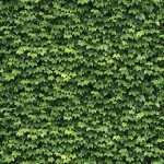 Giấy Dán Tường Hàn Quốc Natural 88422-1