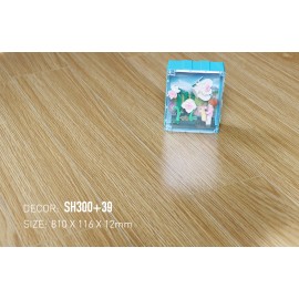 Sàn gỗ ShopHouse SH300+39
