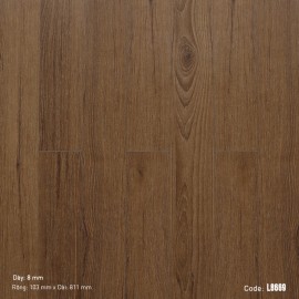 Sàn Gỗ Dream Lucky L8669