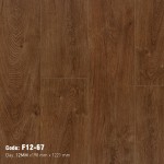 Sàn gỗ F12-67