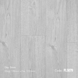 Sàn gỗ Dream Prolux PL5079