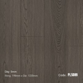 Sàn gỗ Dream Prolux PL5089
